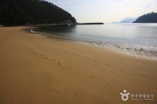 방죽포해변 - 캠프위크