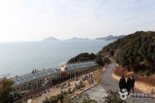 장사도 (2026) - 경상남도 통영시 가볼만한곳 - 관광지랭킹