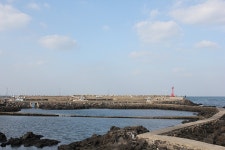 돈황제(구 도야지랑우랑직화구이) - 제주특별자치도 제주시 - 가볼만한곳 - 관광지랭킹