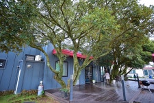 에코힐글램핑 - 제주특별자치도 제주시 - 가볼만한곳 - 관광지랭킹