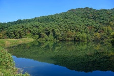 궁지골 농원 - 전라남도 영광군 - 가볼만한곳 - 관광지랭킹