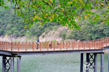 담양호관광지 - 전라남도 담양군 - 가볼만한곳 - 관광지랭킹