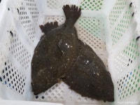 하남수산물복합단지 - 경기도 하남시 - 가볼만한곳 - 관광지랭킹