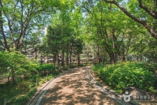 도산공원 (2026) - 서울특별시 강남구 가볼만한곳 - 관광지랭킹