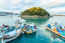 주도 (2026) - 전남광주통합특별시 완도군 가볼만한곳 - 관광지랭킹