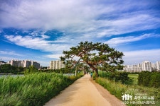 호남순대국 - 경기도 수원시 팔달구 - 가볼만한곳 - 관광지랭킹