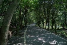 마니산국민관광지 관광 정보와 주변 관광 명소 및 근처 맛집 여행 정보