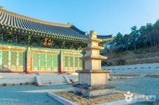 천관산동백생태숲 (2026) - 전남광주통합특별시 장흥군 가볼만한곳 - 관광지랭킹