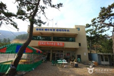 방죽포해변 - 캠프위크