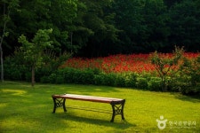 상림공원 관광 정보와 주변 관광 명소 및 근처 맛집 여행 정보