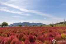 รูปภาพผลการค้นหา Naver 1
