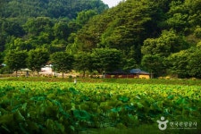 상림공원 관광 정보와 주변 관광 명소 및 근처 맛집 여행 정보