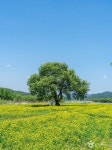 핫들생태공원 관광 정보와 주변 관광 명소 및 근처 맛집 여행 정보