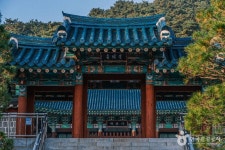 Foto de resultados de búsqueda de Naver 2