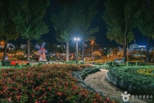 보강천미루나무숲 (2026) - 충청북도 증평군 가볼만한곳 - 관광지랭킹