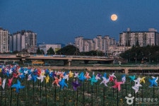 보강천미루나무숲 (2026) - 충청북도 증평군 가볼만한곳 - 관광지랭킹