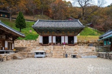 목재문화·자연사체험관 (2026) - 충청남도 청양군 가볼만한곳 - 관광지랭킹