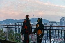 서울대학교 치의학박물관 (2026) - 서울특별시 종로구 가볼만한곳 - 관광지랭킹