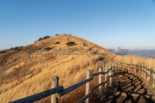 이미지포털 아이클릭아트 무제한 이미지소스 X 아이클릭아트