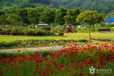 상림공원 관광 정보와 주변 관광 명소 및 근처 맛집 여행 정보