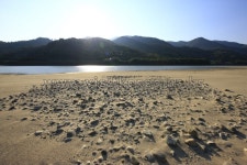 이미지포털 아이클릭아트 무제한 이미지소스 X 아이클릭아트