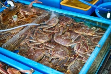 유토이미지 | 디자인소스를 검색하세요