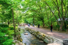 상림공원 관광 정보와 주변 관광 명소 및 근처 맛집 여행 정보