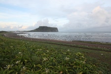 이미지포털 아이클릭아트 무제한 이미지소스 X 아이클릭아트