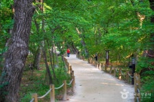 상림공원 관광 정보와 주변 관광 명소 및 근처 맛집 여행 정보