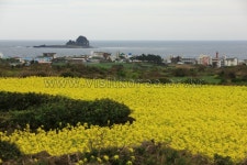 이미지포털 아이클릭아트 무제한 이미지소스 X 아이클릭아트