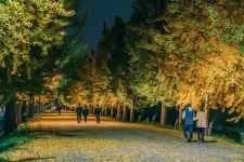 무제한 이미지소스 X 아이클릭아트