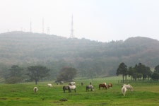 이미지포털 아이클릭아트 무제한 이미지소스 X 아이클릭아트