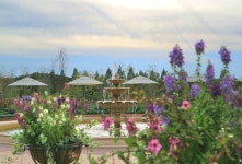 이미지포털 아이클릭아트 무제한 이미지소스 X 아이클릭아트