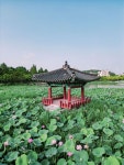 이미지포털 아이클릭아트 무제한 이미지소스 X 아이클릭아트