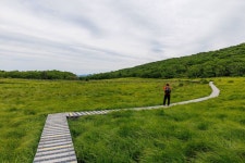 이미지포털 아이클릭아트 무제한 이미지소스 X 아이클릭아트