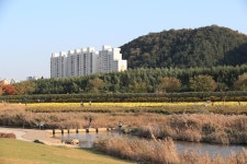 이미지포털 아이클릭아트 무제한 이미지소스 X 아이클릭아트