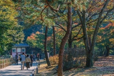 무제한 이미지소스 X 아이클릭아트