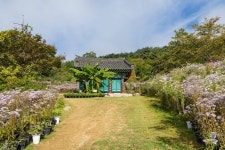 이미지포털 아이클릭아트 무제한 이미지소스 X 아이클릭아트