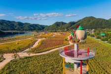 무제한 이미지소스 X 아이클릭아트