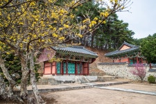 이미지포털 아이클릭아트 무제한 이미지소스 X 아이클릭아트