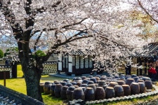 이미지포털 아이클릭아트 무제한 이미지소스 X 아이클릭아트