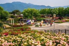 무제한 이미지소스 X 아이클릭아트