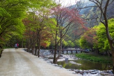 이미지포털 아이클릭아트 무제한 이미지소스 X 아이클릭아트