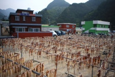 이미지포털 아이클릭아트 무제한 이미지소스 X 아이클릭아트