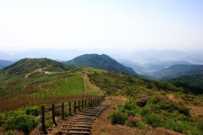 무제한 이미지소스 X 아이클릭아트