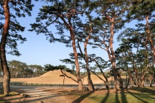 이미지포털 아이클릭아트 무제한 이미지소스 X 아이클릭아트