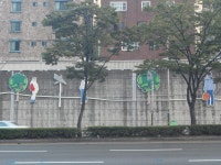 부산시 문화관광 > 여행자 Talk > 시민 리포터 사진갤러리 > 가야역 도로변 벽화