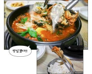 관광웹진 보기 > 충남 관광웹진 > 관광새소식 >충남관광 충남관광
