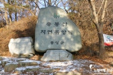 충남맛집정보 > 충남맛집여행 > 관광정보 >충남관광 충남관광
