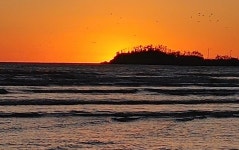 [충남한달살기] 체험후기 < 커뮤니티 < 충남관광  [충남한달살기] 체험후기 커뮤니티